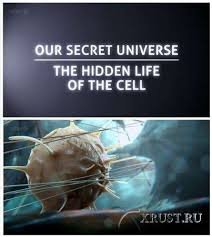 Our Secret Universe: The Hidden Life of the Cell / Скритият живот на клетката (2012)